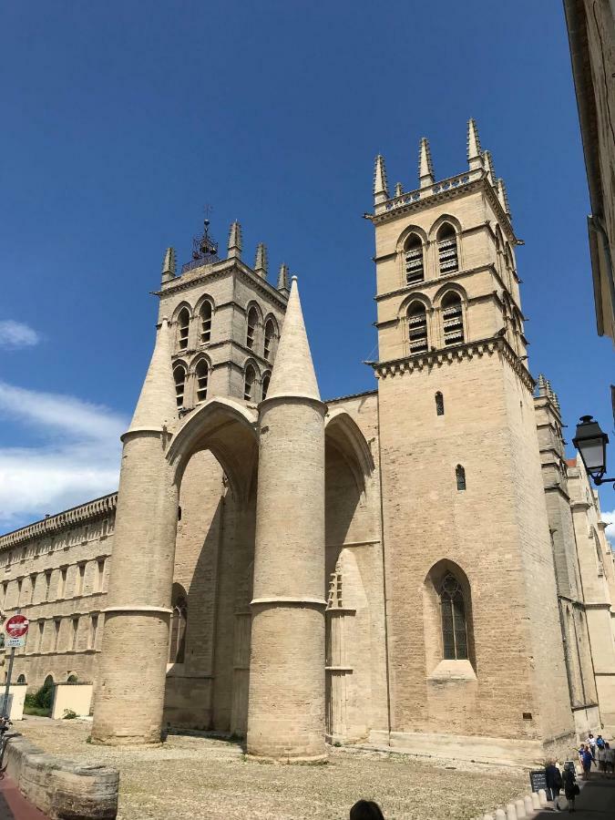Superbe! Loft T3 -Ctre Historic- Prox. Place Comedie Montpellier Exteriör bild